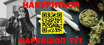 сатива Будённовск