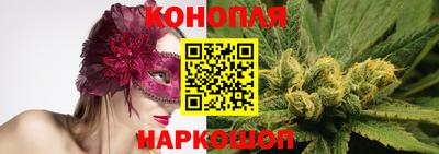 сатива Будённовск