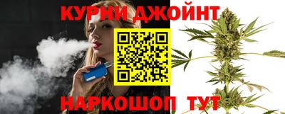сатива Будённовск