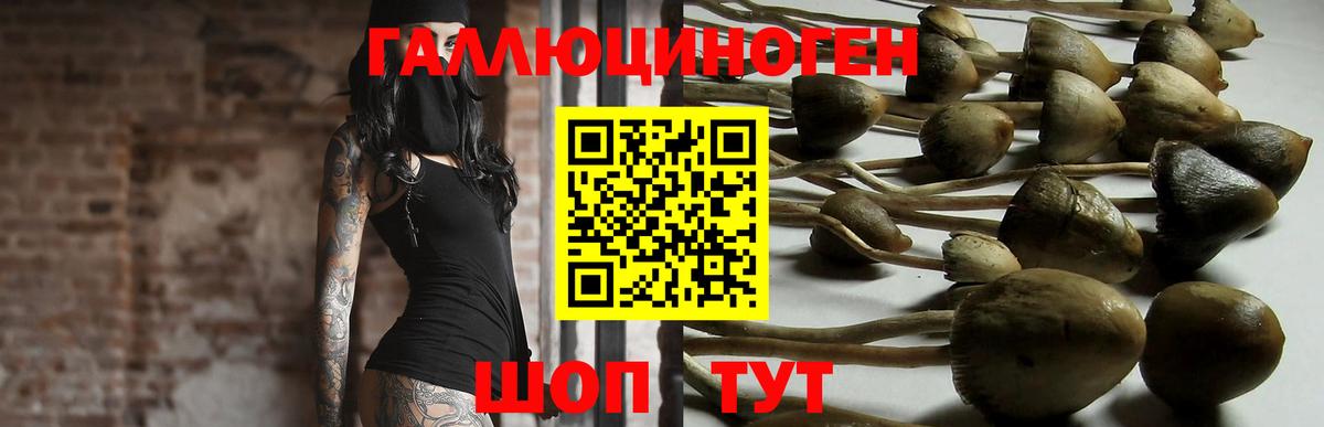 сколько стоит  Галлюциногенные грибы прущие грибы  Узловая  Вход с VPN  Псилоцибиновые грибы прущие грибы 